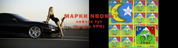ПСИЛОЦИБИНОВЫЕ ГРИБЫ Арсеньев