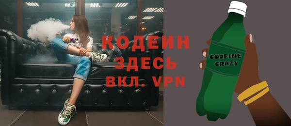 ПСИЛОЦИБИНОВЫЕ ГРИБЫ Арсеньев