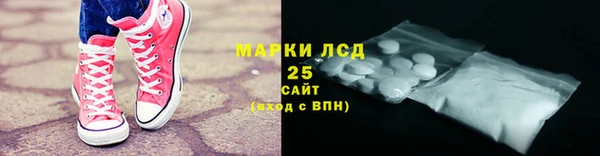 ПСИЛОЦИБИНОВЫЕ ГРИБЫ Арсеньев