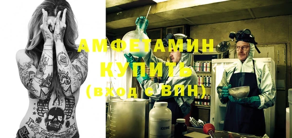 сатива Аркадак