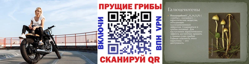 Псилоцибиновые грибы GOLDEN TEACHER  купить   Ишимбай 